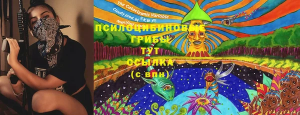 винт Козловка