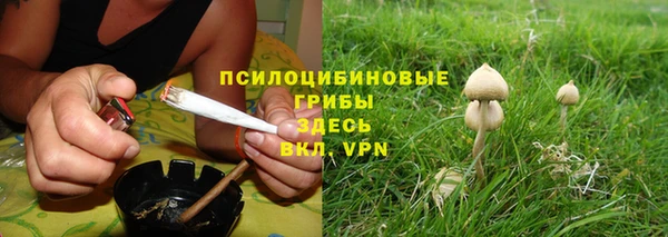 ешки Козельск