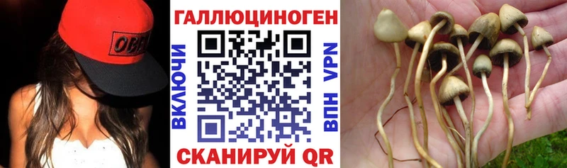 Псилоцибиновые грибы Psilocybine cubensis  Купить  Дедовск 